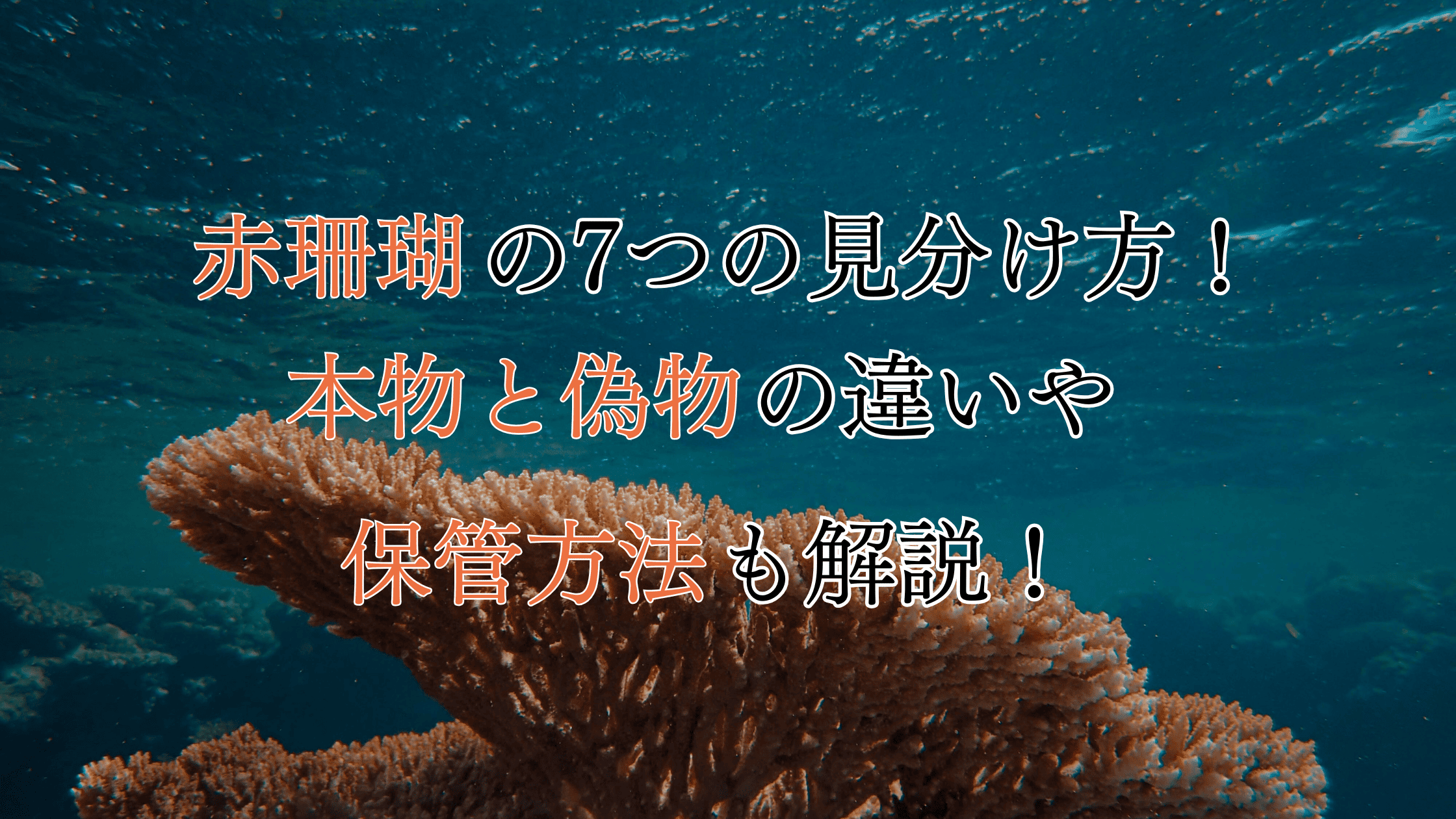 赤珊瑚の本物と偽物の7つの見分け方！保管方法も紹介！